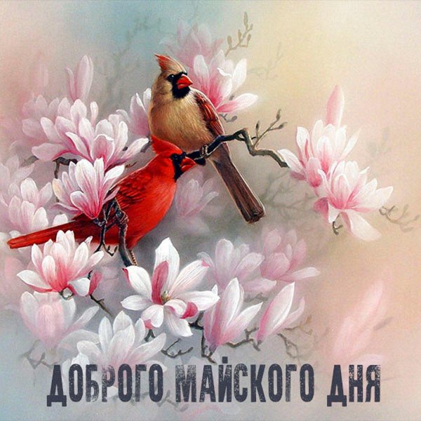 тан чун чиу художник