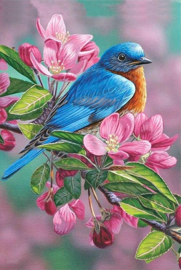 алмазная вышивка