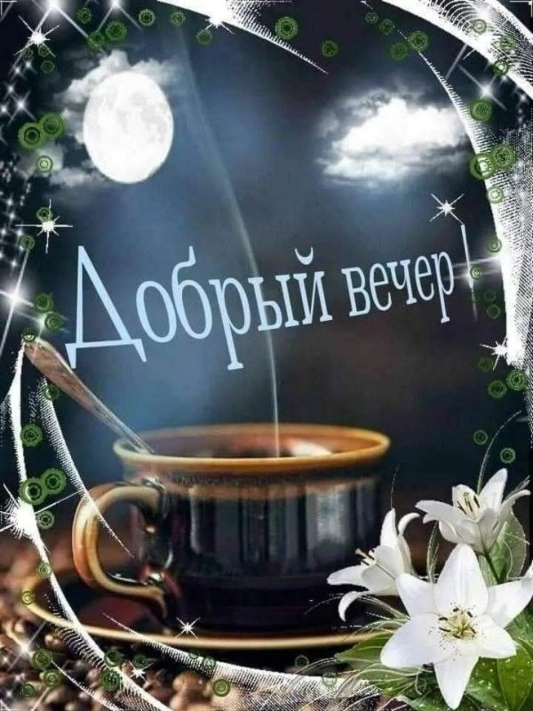 добр вечер