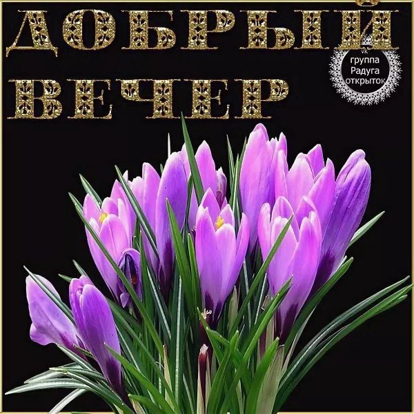 открытки с добрым вечером весенние