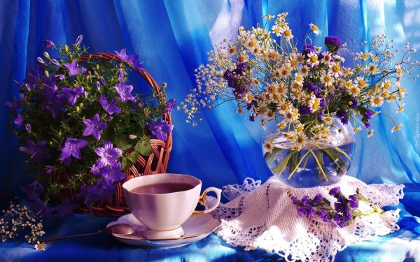 чудесного летнего утра