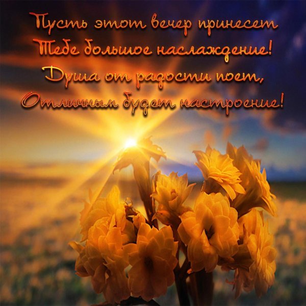 красивое солнце