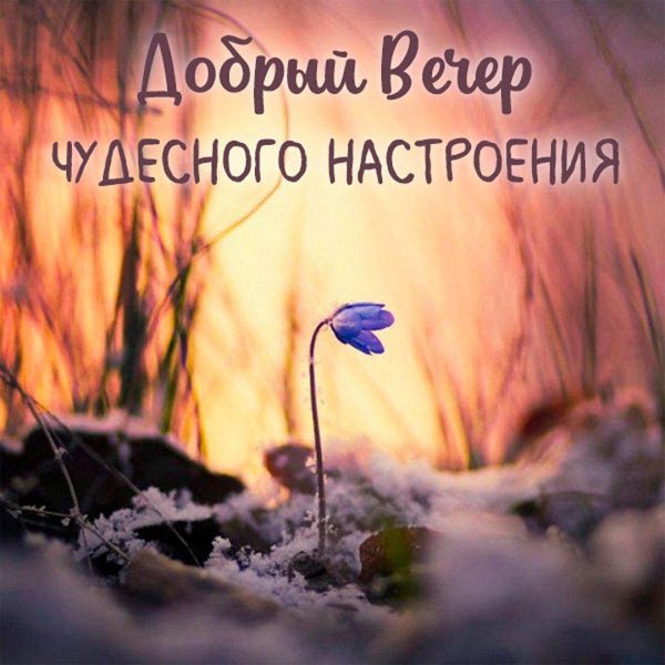 весенние открытки с добрым