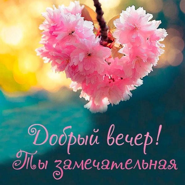 цветы добрый вечер