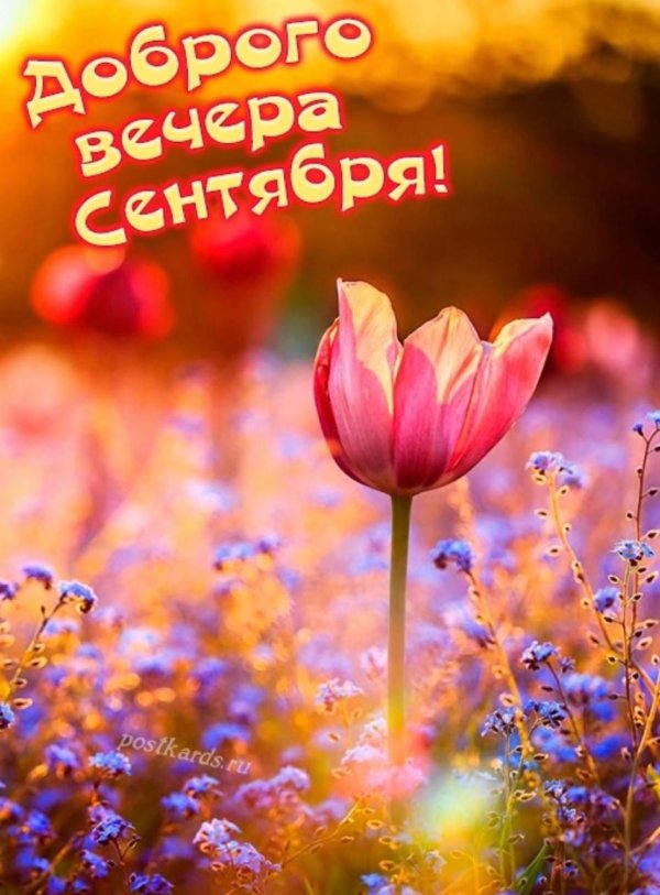 открытка с хорошим вечером