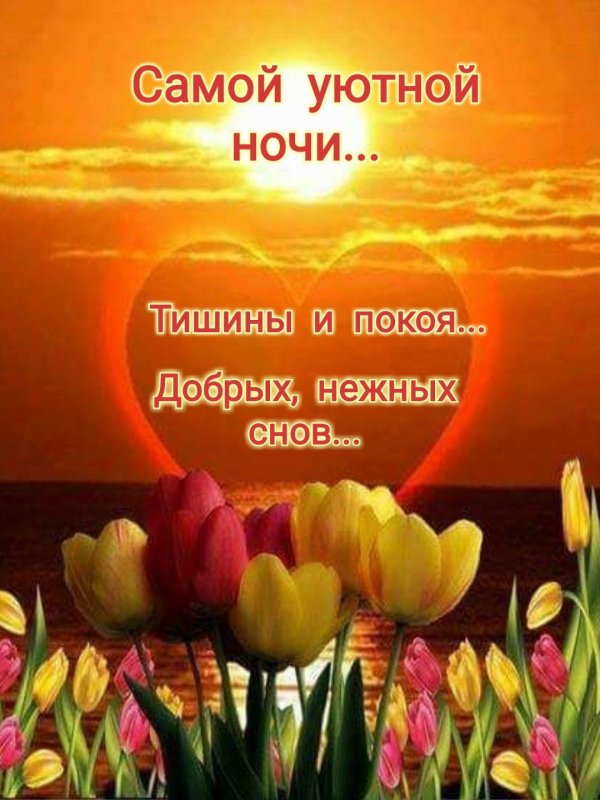 счастливый вечер