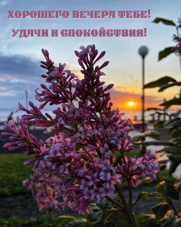 добрый весенний вечер