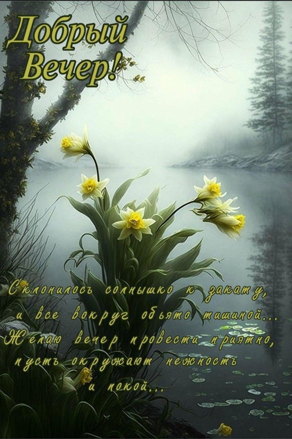 природа пейзаж