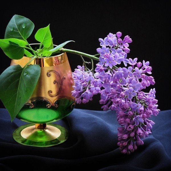 добрый вечер весна