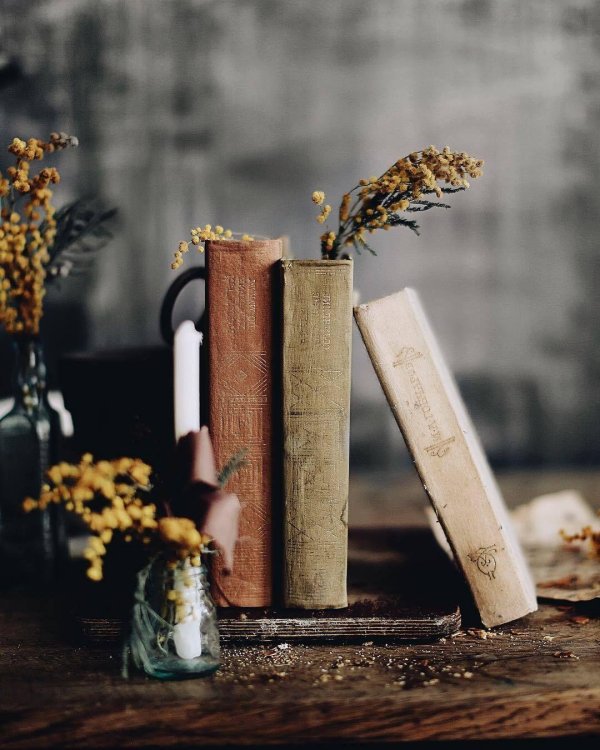 книжная эстетика