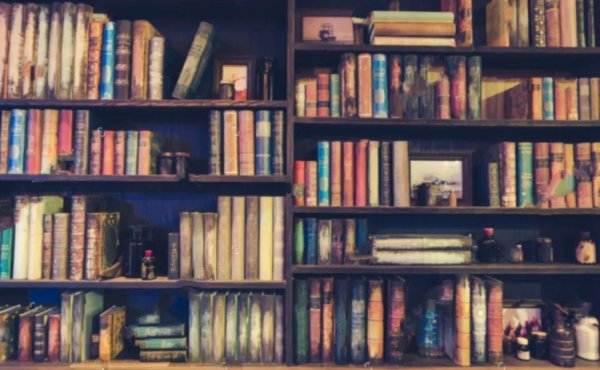 книжные полки