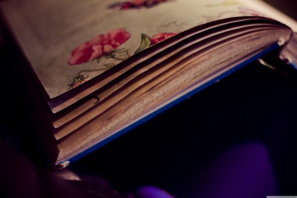 книга для фона