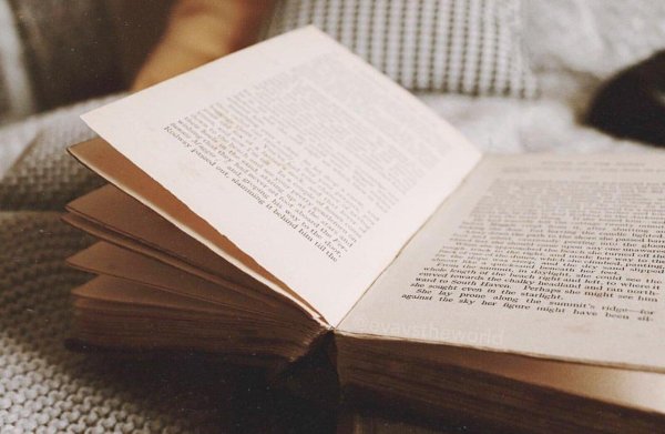 литература эстетика