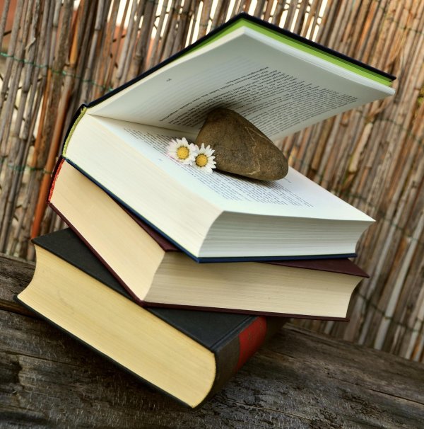 красивые книжки