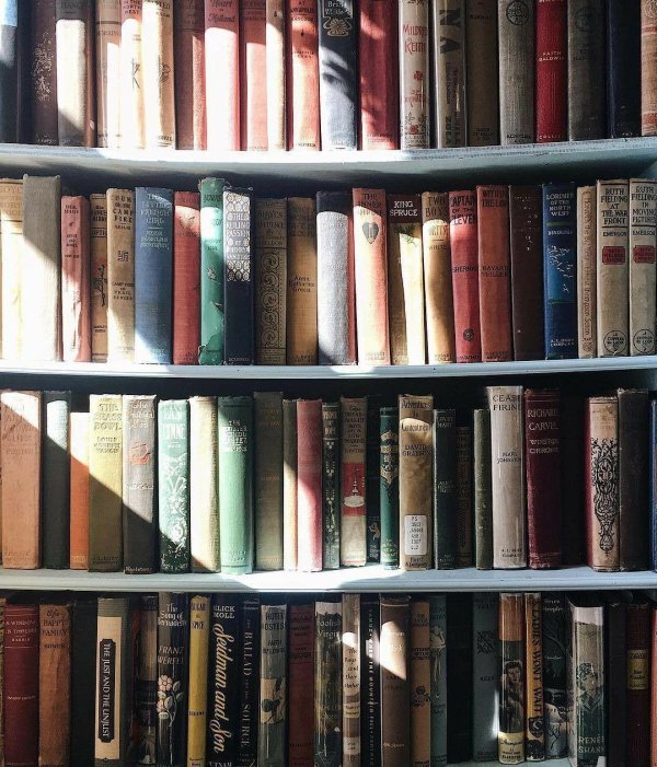 книжная полка