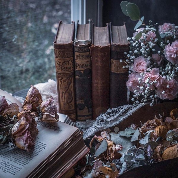 литература эстетика