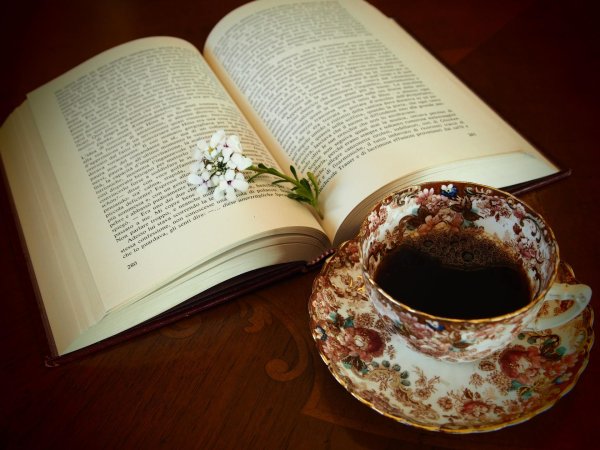 цветы книги