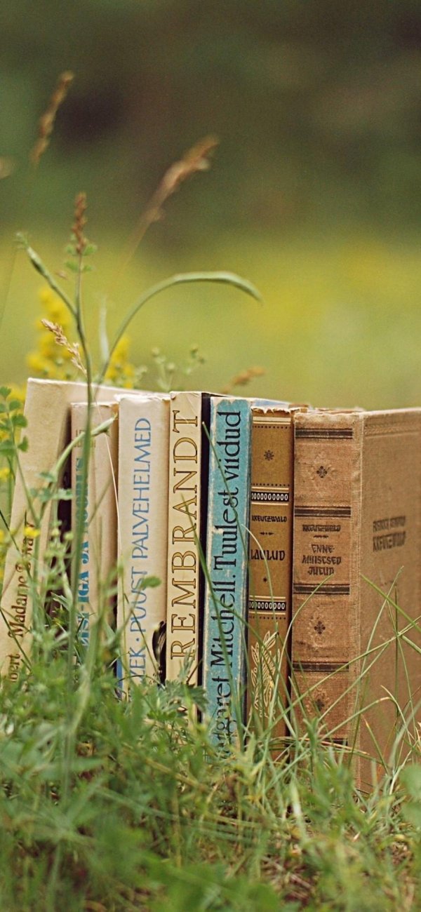 фон с книгами