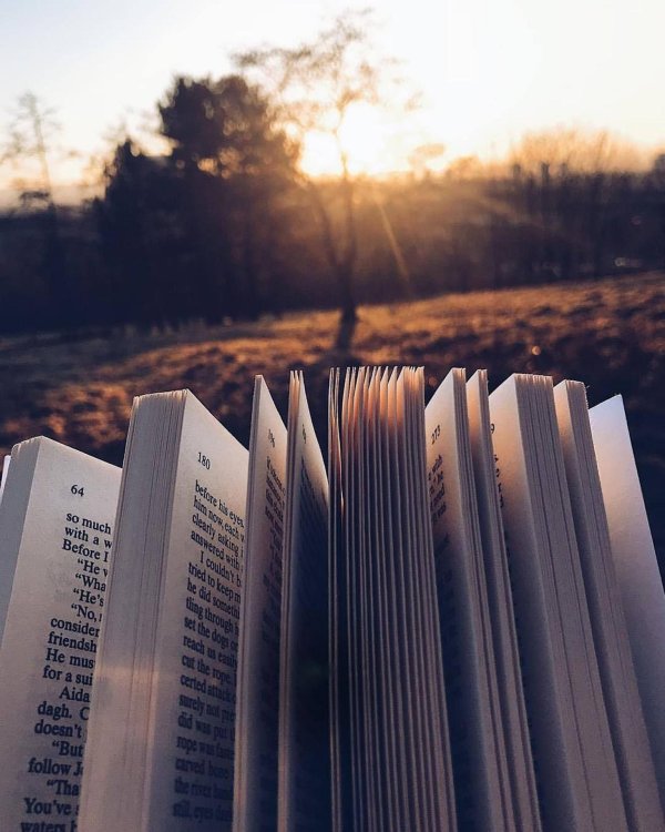 литература эстетика