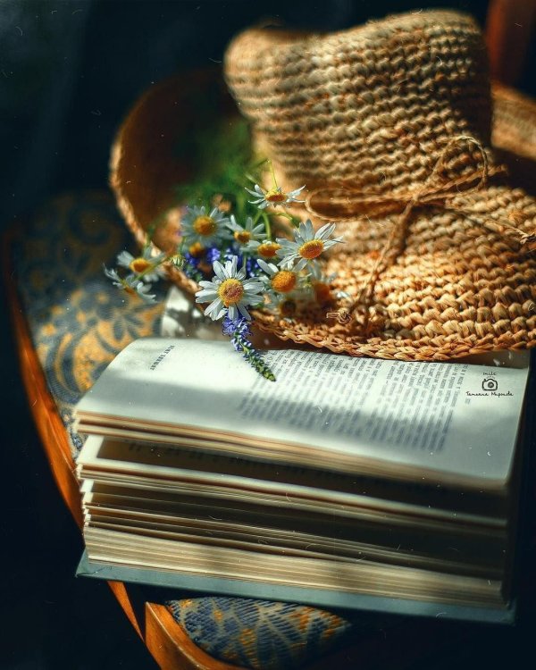 летние книги