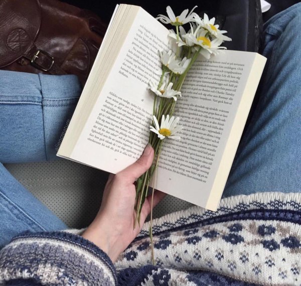 эстетика ромашек