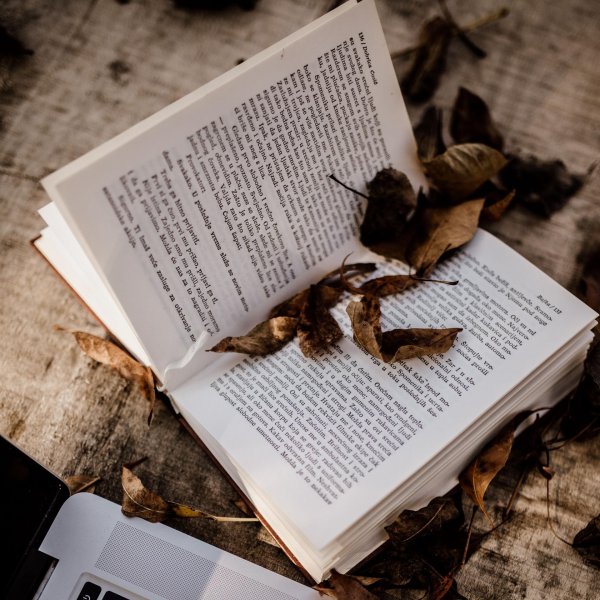 книжная эстетика