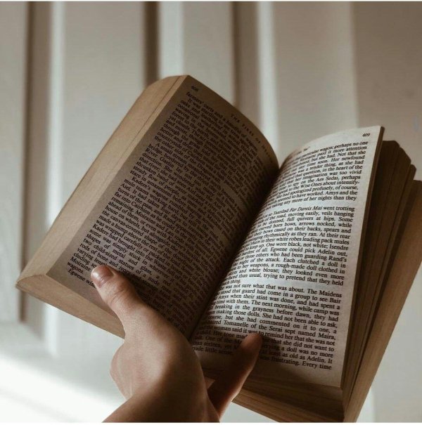 книжная эстетика