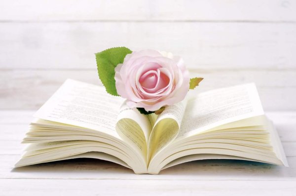 роза на книге