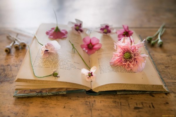 цветы книги