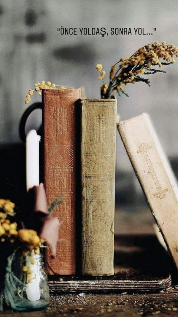 книжная эстетика