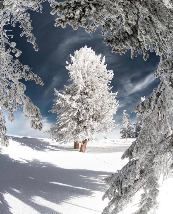 очень красивые зимние пейзажи