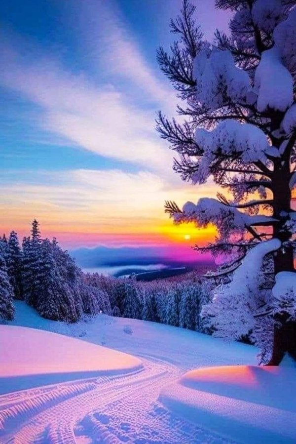 природа зимняя