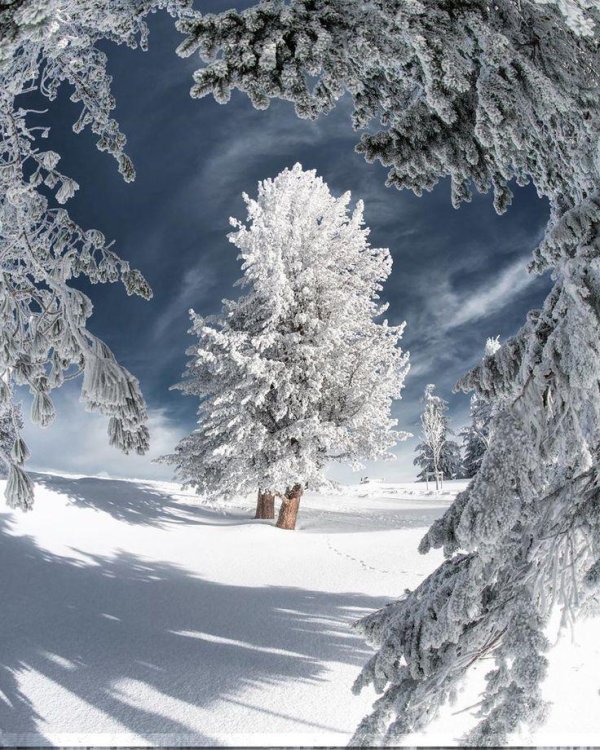 очень красивые зимние пейзажи