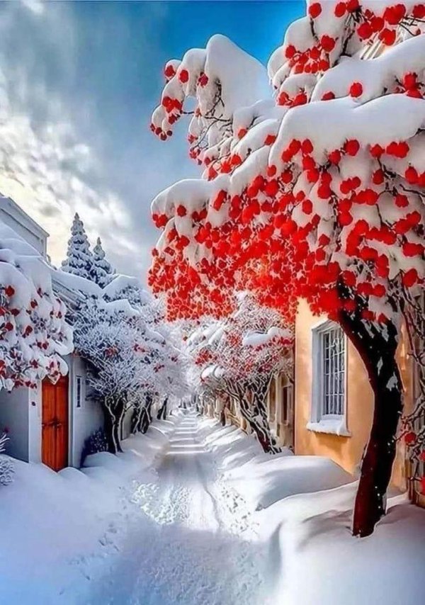 зимняя природа