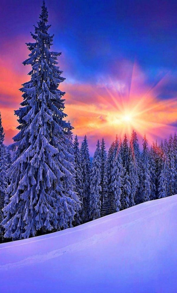 зима красивая