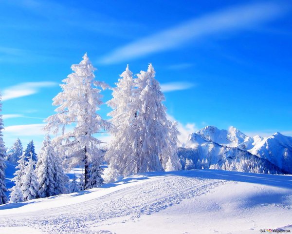 зимние обои