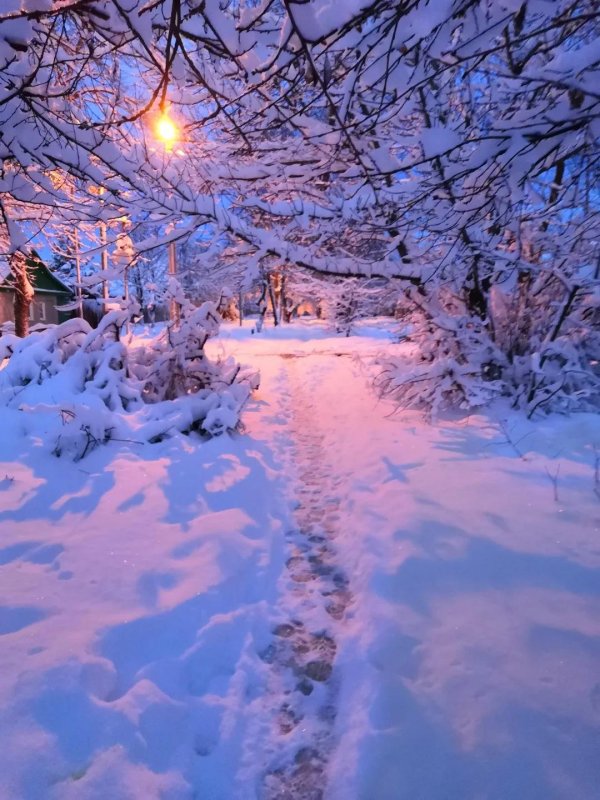 зимние фотографии