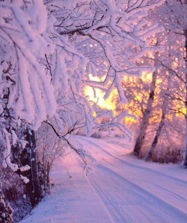 зимняя природа