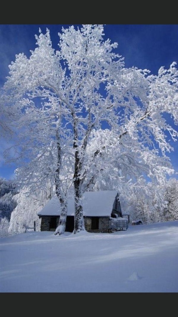 деревенский домик зимой