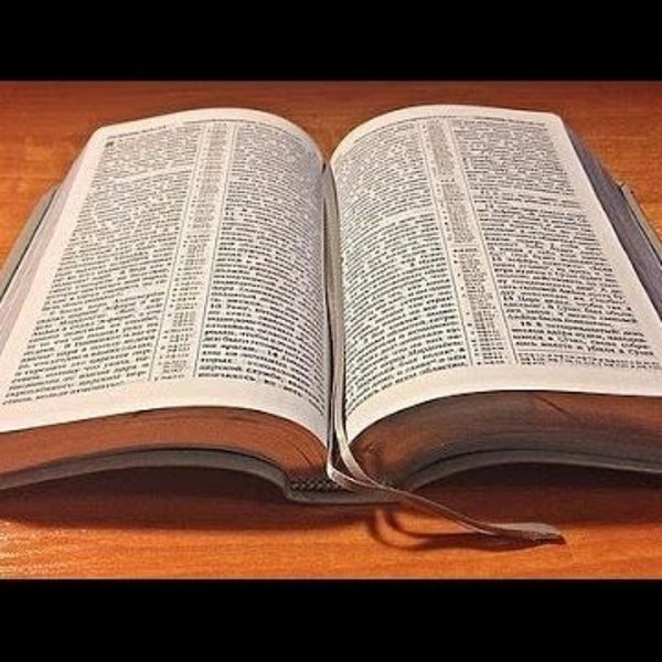 библмя свидетелкй иегова