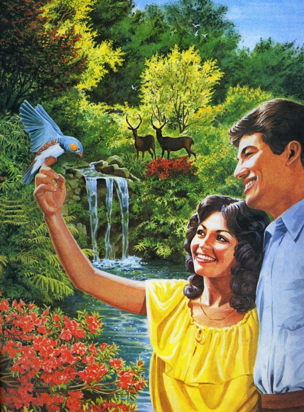 рай свидетелей иеговы