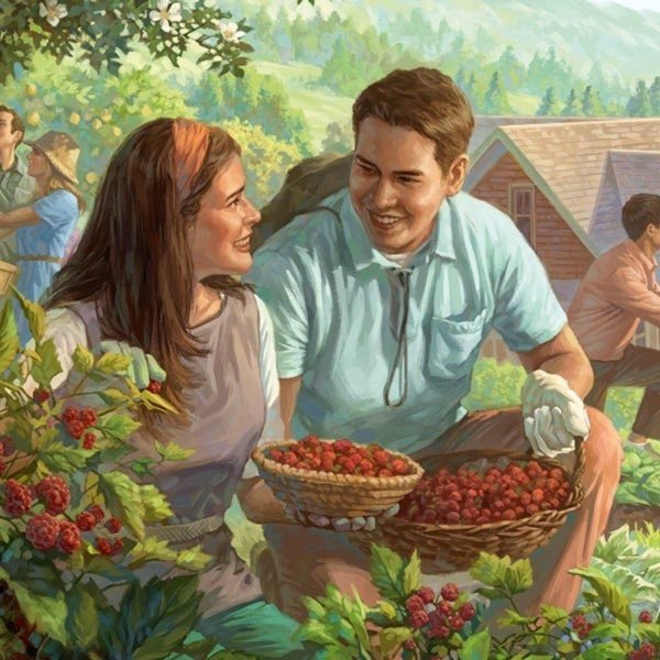 иллюстрации свидетелей иеговы