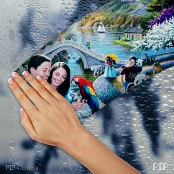 алмазная живопись