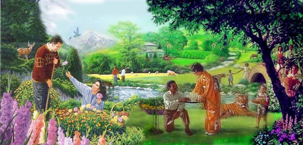 новый мир свидетелей иеговы