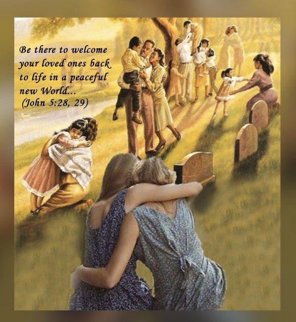 jehovah s witnesses bible