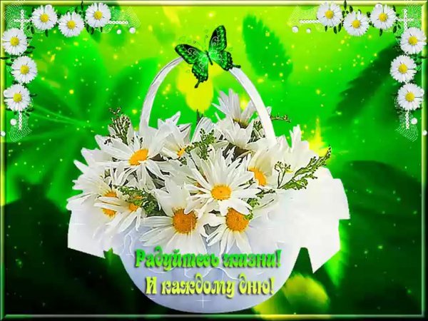 доброго утра с ромашками
