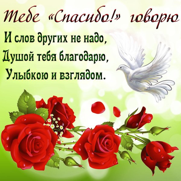 красивые слова благодарности