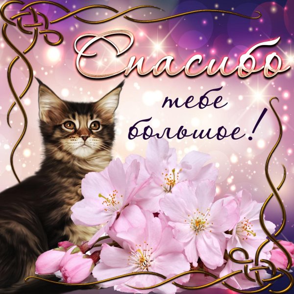 красивая открытка