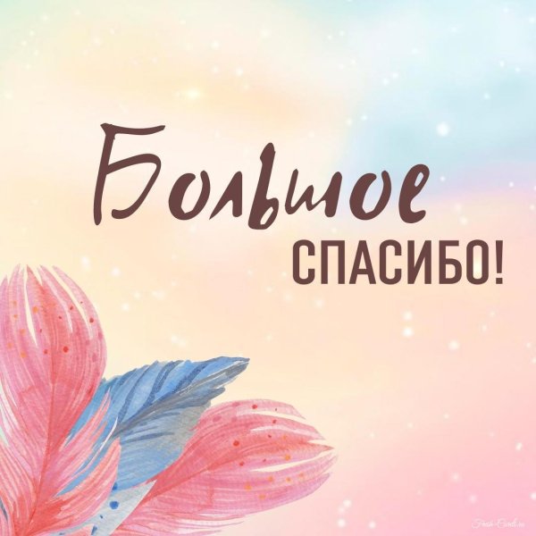 огромная благодарность