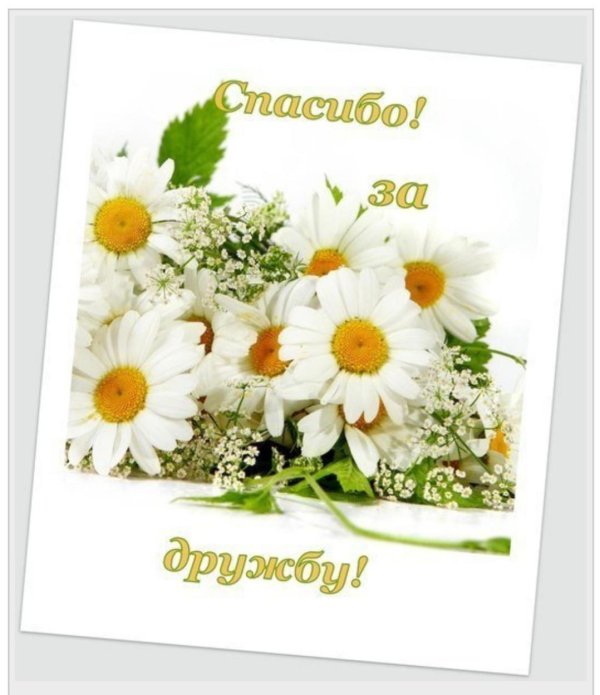 благодарю за дружбу